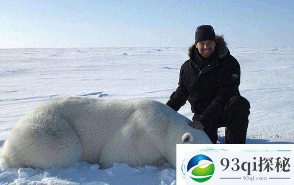 世界上最冷的工作 追寻北极熊踪迹
