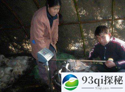 安徽长丰县农民种出20公斤特大蘑菇