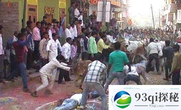 印度数十名男子躺地上任群牛踩踏 原因竟是……
