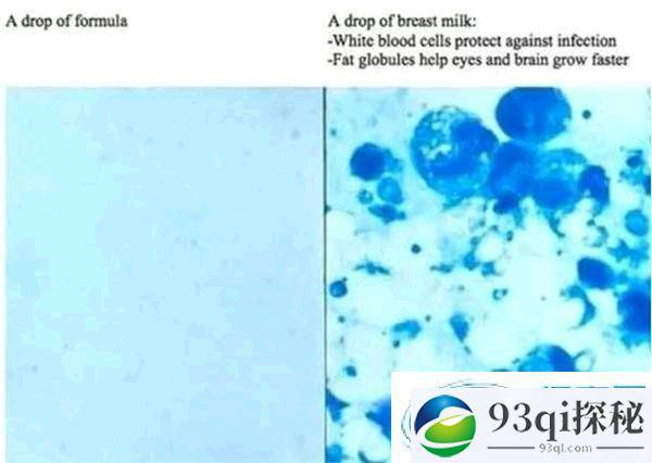 显微镜下的乳汁是什么样子？竟然是“活的”！