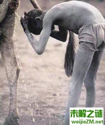 罕见雷人风俗 骆驼尿洗头牛粪刷牙