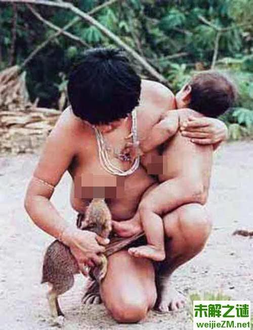 巴西原始部落赤身女用母乳给野猪喂奶【图】