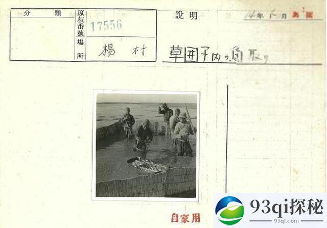 孩子摘草莓，平民来捕鱼！1939年日寇在天津杨村的摄影记录