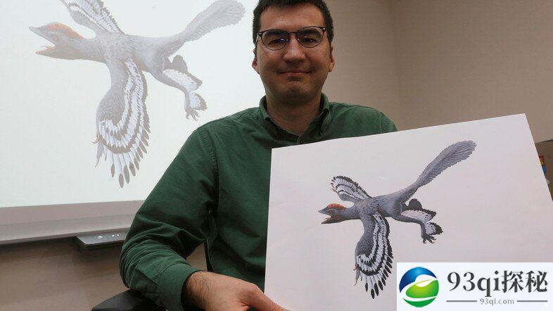 科学家发现全新恐龙物种 命名“中华贝贝龙”