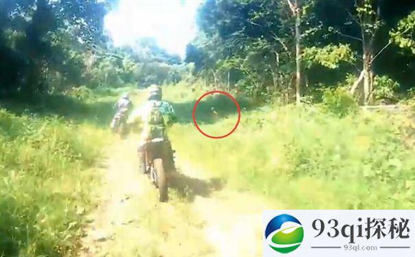 印尼出现神秘野人：跑的比摩托车还快！
