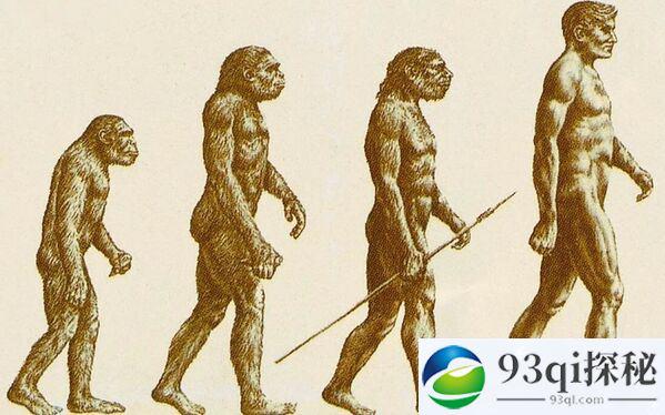 史上最大骗局：达尔文进化论