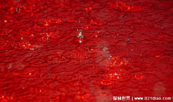 世界上有没有红色的雨：红雨之谜（阿拉伯红土 外星细菌）